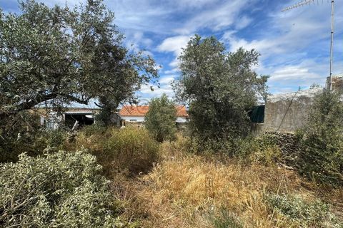 Villa a Castro Verde, Beja, Castro Verde - € 69.500 | Ref: 281671035 - foto 17