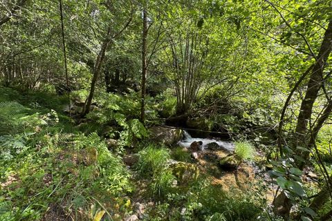 Landejendom i Amarante, Porto, Amarante - € 175.000 | Ref: 511521187 - foto 15