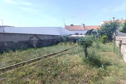 Helårsgrund i Castro Verde, Beja, Castro Verde - € 65.000 | Ref: PAR_107 - foto 3