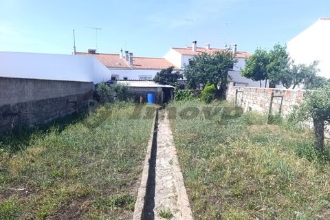 Helårsgrund i Castro Verde, Beja, Castro Verde - € 65.000 | Ref: PAR_107 - foto 5