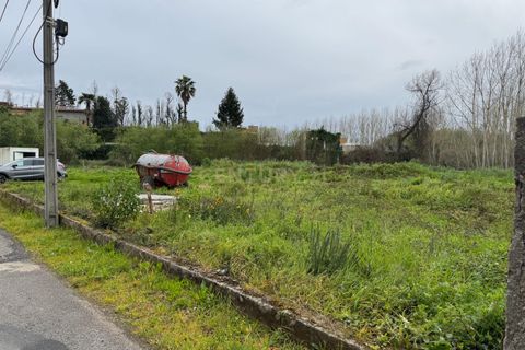 Helårsgrund i Agueda, Aveiro, Agueda - € 60.000 | Ref: C0474-00211 - foto 3