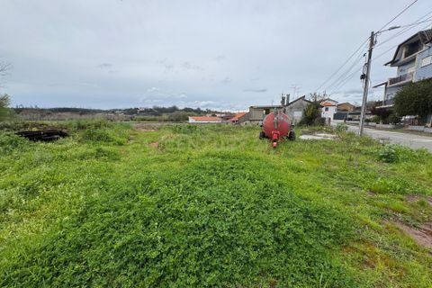Helårsgrund i Agueda, Aveiro, Agueda - € 60.000 | Ref: C0474-00211 - foto 4