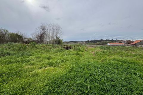 Helårsgrund i Agueda, Aveiro, Agueda - € 60.000 | Ref: C0474-00211 - foto 6