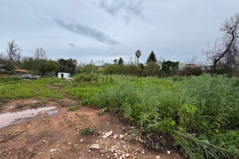 Helårsgrund i Agueda, Aveiro, Agueda - € 60.000 | Ref: C0474-00211 - foto 7