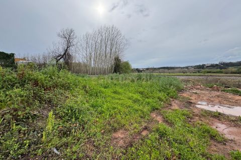 Helårsgrund i Agueda, Aveiro, Agueda - € 60.000 | Ref: C0474-00211 - foto 9