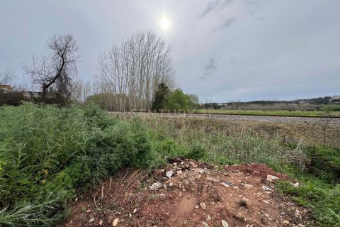 Helårsgrund i Agueda, Aveiro, Agueda - € 60.000 | Ref: C0474-00211 - foto 10