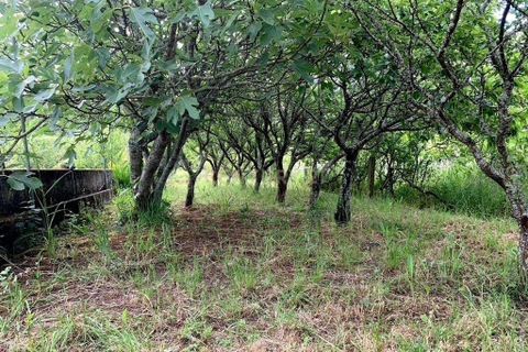 Villa i Buarcos, Coimbra, Buarcos - € 425.000 | Ref: C0372-01824 - foto 22