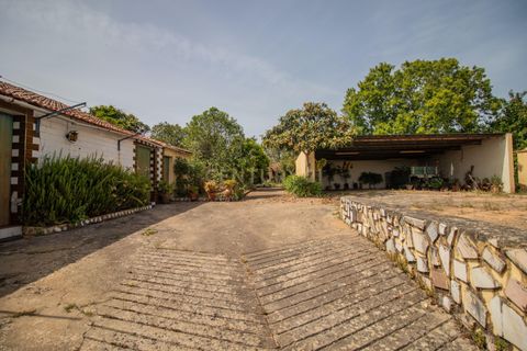 Villa a Soure, Coimbra, Soure - € 99.500 | Ref: C0372-01850 - foto 6