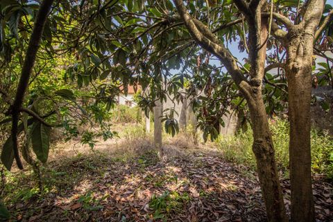 Villa a Soure, Coimbra, Soure - € 99.500 | Ref: C0372-01850 - foto 26