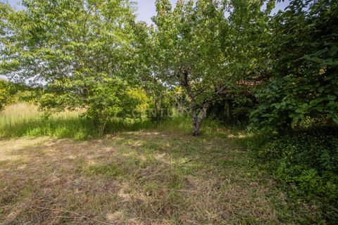 Villa a Soure, Coimbra, Soure - € 99.500 | Ref: C0372-01850 - foto 29