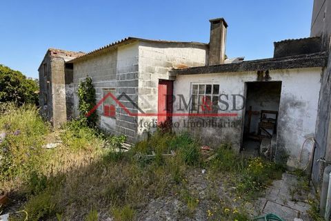 Villa i Batalha, Leiria, Batalha - € 195.000 | Ref: PM182 - foto 15