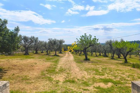 Landejendom i Monopoli, Bari, Monopoli - € 495.000 | Ref: R 568 - foto 4