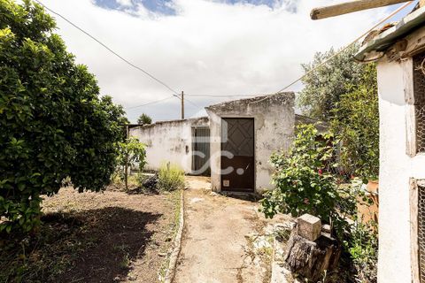Villa a Arraiolos, Evora, Arraiolos - € 149.000 | Ref: 318/M/03831 - foto 27