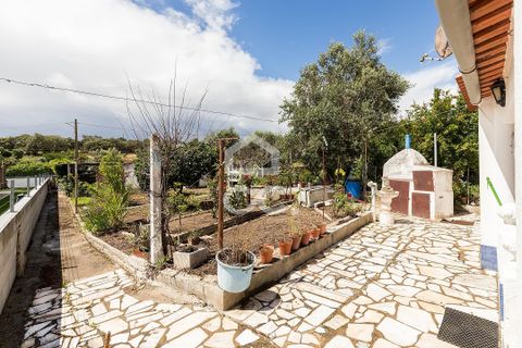 Villa a Arraiolos, Evora, Arraiolos - € 149.000 | Ref: 318/M/03831 - foto 28