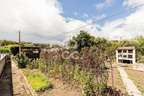 Villa a Arraiolos, Evora, Arraiolos - € 149.000 | Ref: 318/M/03831 - foto 30