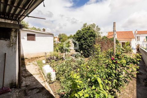 Villa a Arraiolos, Evora, Arraiolos - € 149.000 | Ref: 318/M/03831 - foto 31
