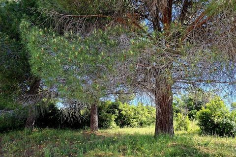 Terra a Beziers, Herault, Beziers - € 99.000 | Ref: 34B-LE_GARISSOU_1_Bezier - foto 3