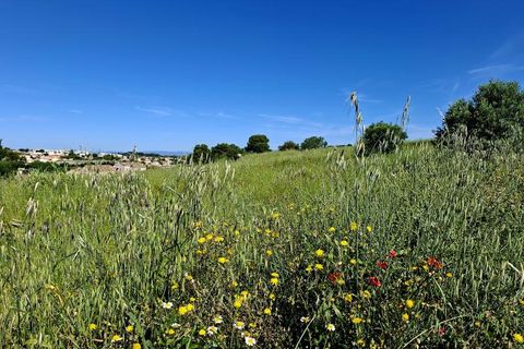 Terra a Beziers, Herault, Beziers - € 99.000 | Ref: 34B-LE_GARISSOU_1_Bezier - foto 4