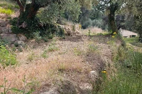 Terra a Coaraze, Alpes-Maritimes, Coaraze - € 165.000 | Ref: 87067448 - foto 2