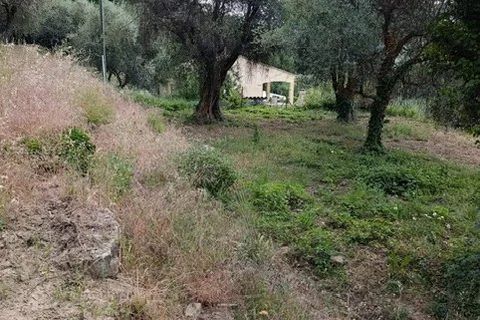 Terra a Coaraze, Alpes-Maritimes, Coaraze - € 165.000 | Ref: 87067448 - foto 3