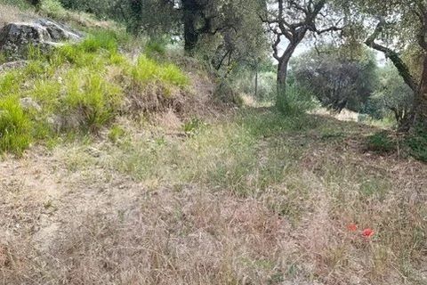 Terra a Coaraze, Alpes-Maritimes, Coaraze - € 165.000 | Ref: 87067448 - foto 4