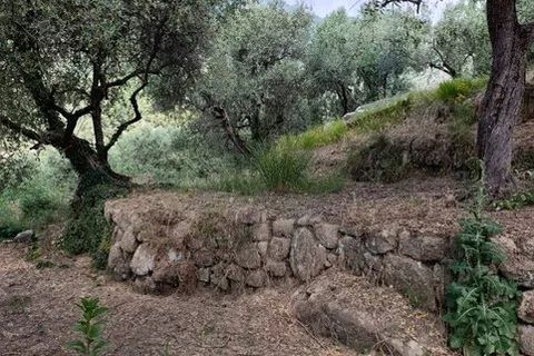 Terra a Coaraze, Alpes-Maritimes, Coaraze - € 165.000 | Ref: 87067448 - foto 5