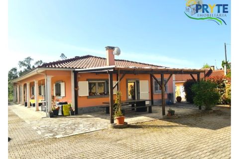 Farm i Serta, Castelo Branco, Serta - € 475.000 | Ref: AS158 - foto 7