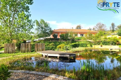 Farm i Serta, Castelo Branco, Serta - € 475.000 | Ref: AS158 - foto 10