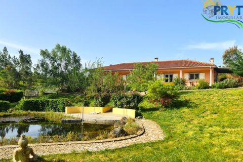 Farm i Serta, Castelo Branco, Serta - € 475.000 | Ref: AS158 - foto 11