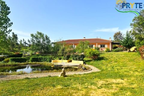 Farm i Serta, Castelo Branco, Serta - € 475.000 | Ref: AS158 - foto 12