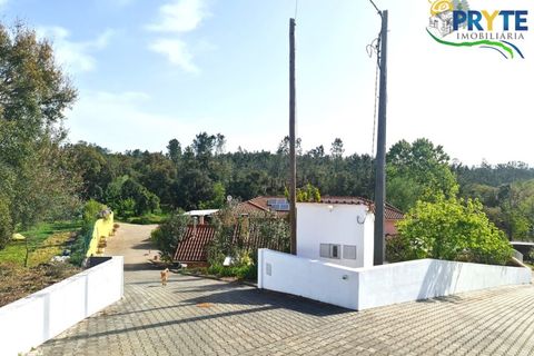 Farm i Serta, Castelo Branco, Serta - € 475.000 | Ref: AS158 - foto 44