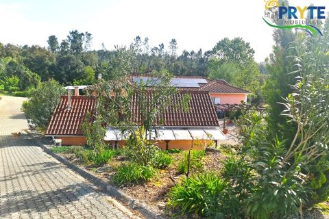 Farm i Serta, Castelo Branco, Serta - € 475.000 | Ref: AS158 - foto 45