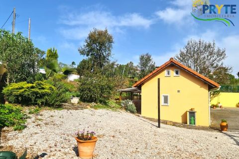 Farm i Serta, Castelo Branco, Serta - € 475.000 | Ref: AS158 - foto 49