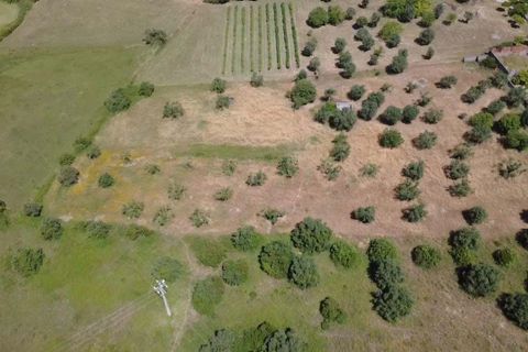 Terra a Olaia e Paco, Santarem, Olaia e Paco - € 106.500 | Ref: C0364-05992 - foto 4