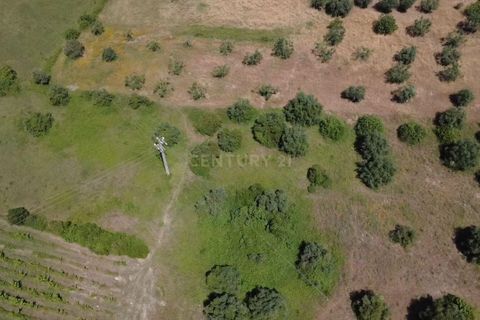 Terra a Olaia e Paco, Santarem, Olaia e Paco - € 106.500 | Ref: C0364-05992 - foto 5
