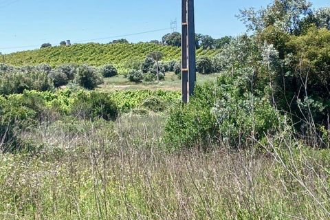 Terra a Olaia e Paco, Santarem, Olaia e Paco - € 106.500 | Ref: C0364-05992 - foto 13