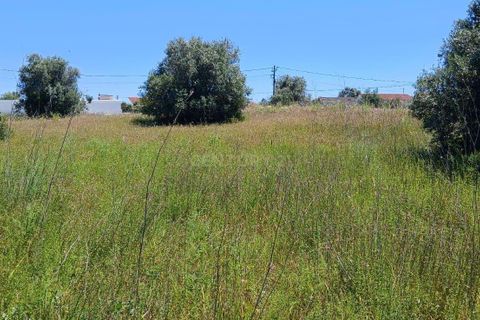 Terra a Olaia e Paco, Santarem, Olaia e Paco - € 106.500 | Ref: C0364-05992 - foto 14