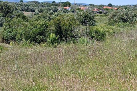 Terra a Olaia e Paco, Santarem, Olaia e Paco - € 106.500 | Ref: C0364-05992 - foto 15