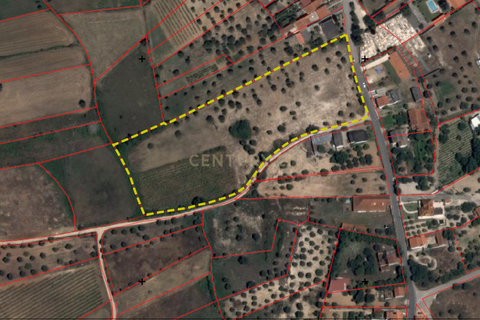 Terra a Olaia e Paco, Santarem, Olaia e Paco - € 106.500 | Ref: C0364-05992 - foto 16