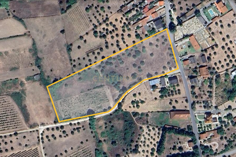 Terra a Olaia e Paco, Santarem, Olaia e Paco - € 106.500 | Ref: C0364-05992 - foto 17