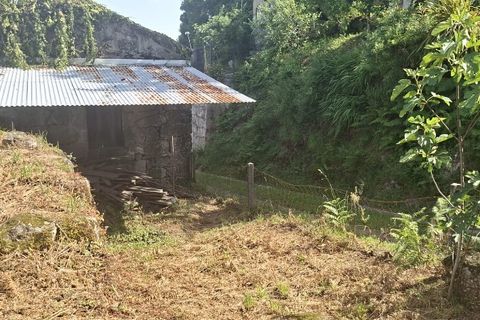 Terra a Amares, Braga, Amares - € 66.500 | Ref: 212189 - foto 14
