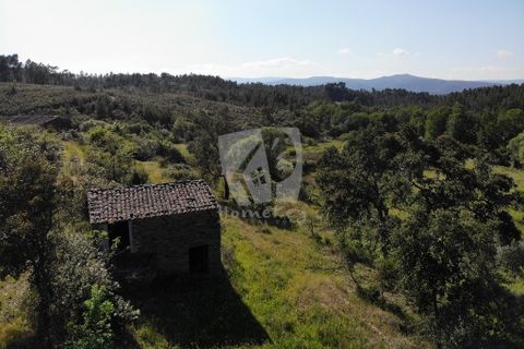 Helårsgrund i Castelo Branco, Castelo Branco, Castelo Branco - € 59.000 | Ref: H785 - foto 2