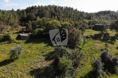 Helårsgrund i Castelo Branco, Castelo Branco, Castelo Branco - € 59.000 | Ref: H785 - foto 3