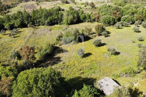 Helårsgrund i Castelo Branco, Castelo Branco, Castelo Branco - € 59.000 | Ref: H785 - foto 4