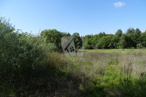 Helårsgrund i Castelo Branco, Castelo Branco, Castelo Branco - € 59.000 | Ref: H785 - foto 8