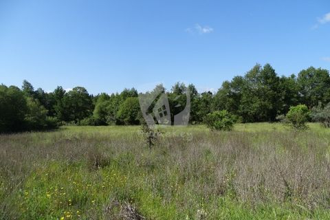 Helårsgrund i Castelo Branco, Castelo Branco, Castelo Branco - € 59.000 | Ref: H785 - foto 9