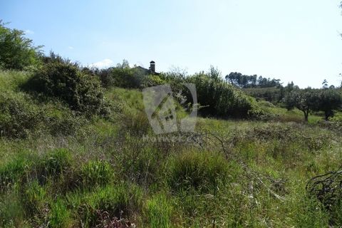 Helårsgrund i Castelo Branco, Castelo Branco, Castelo Branco - € 59.000 | Ref: H785 - foto 10
