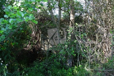Helårsgrund i Castelo Branco, Castelo Branco, Castelo Branco - € 59.000 | Ref: H785 - foto 11