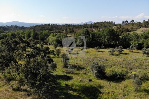 Helårsgrund i Castelo Branco, Castelo Branco, Castelo Branco - € 59.000 | Ref: H785 - foto 13