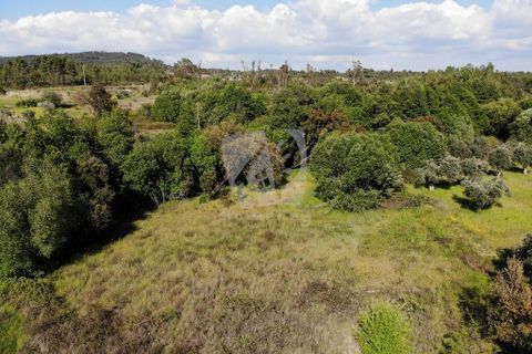 Helårsgrund i Castelo Branco, Castelo Branco, Castelo Branco - € 59.000 | Ref: H785 - foto 15